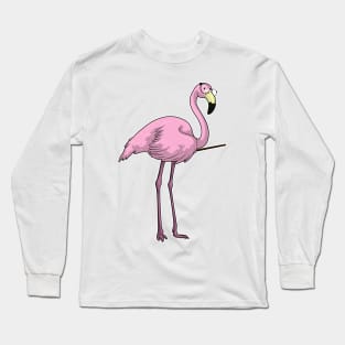 Flamingo Teacher Pointer Long Sleeve T-Shirt